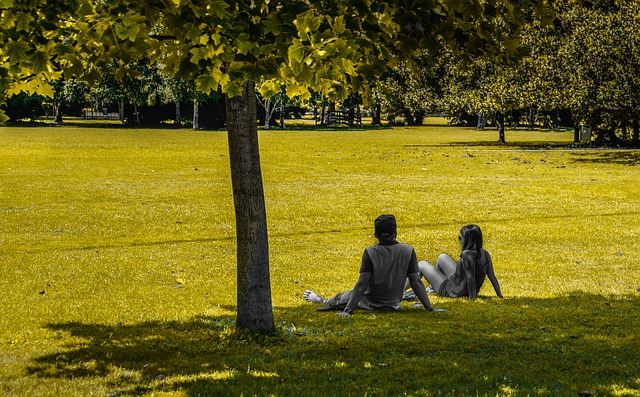 Para siedzi na trawie
